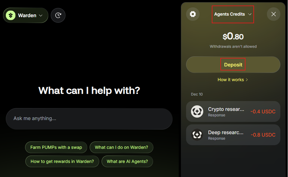 Deposit to the Agents Credits wallet in Warden